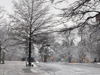 WebCAM di Sweet_Dreamzz212